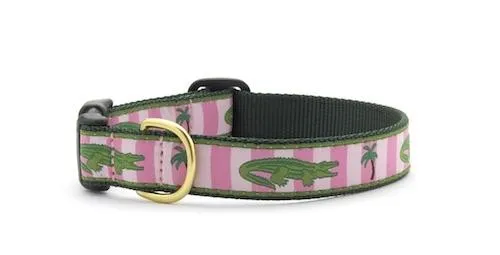 Alligator Dog Collar - UpCountry Alligator Collar