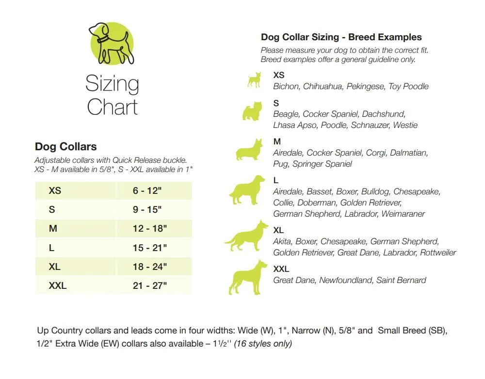 Alligator Dog Collar - UpCountry Alligator Collar