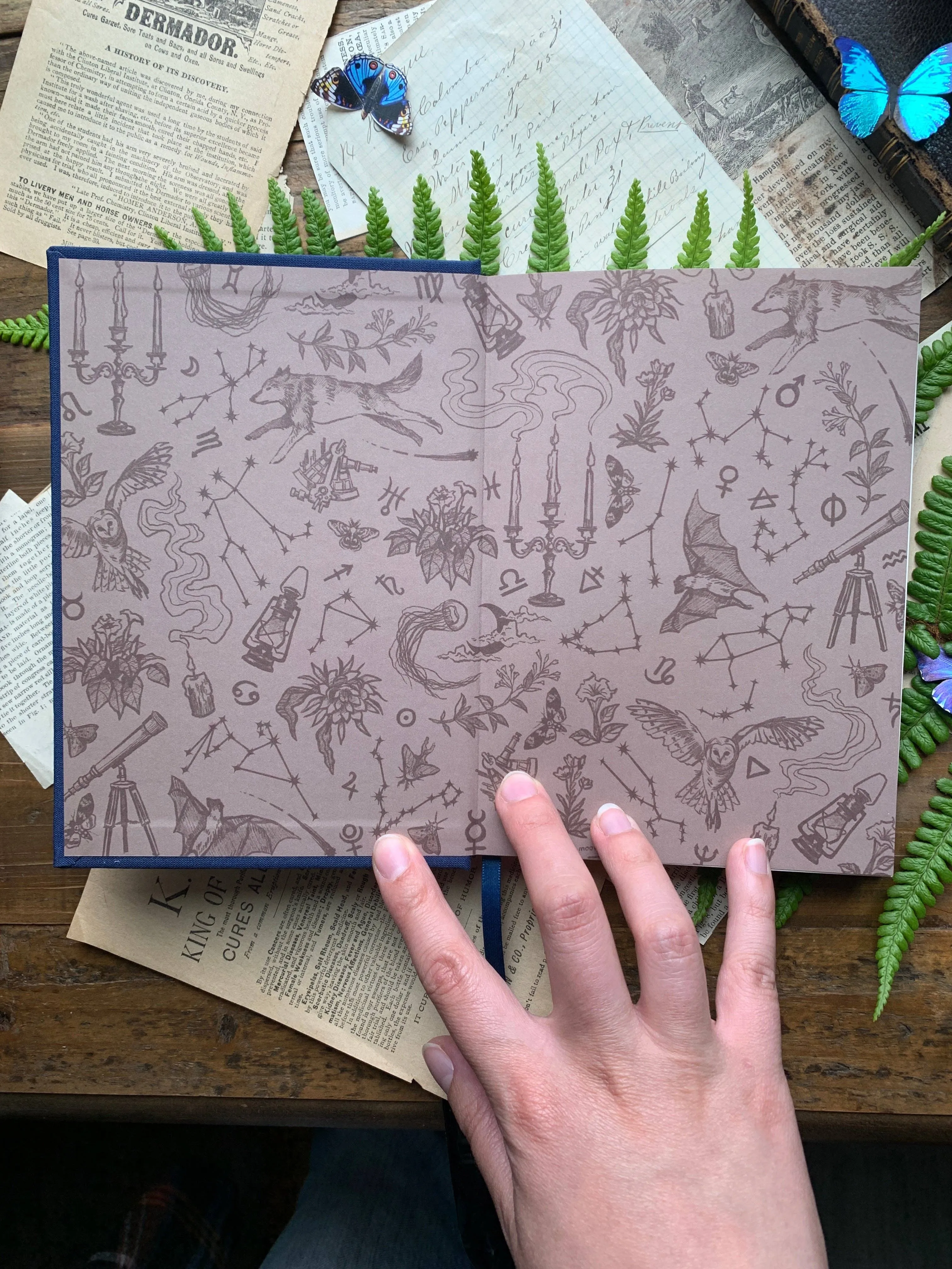 B6 Blank Notebook | The Astronomer [Gold]