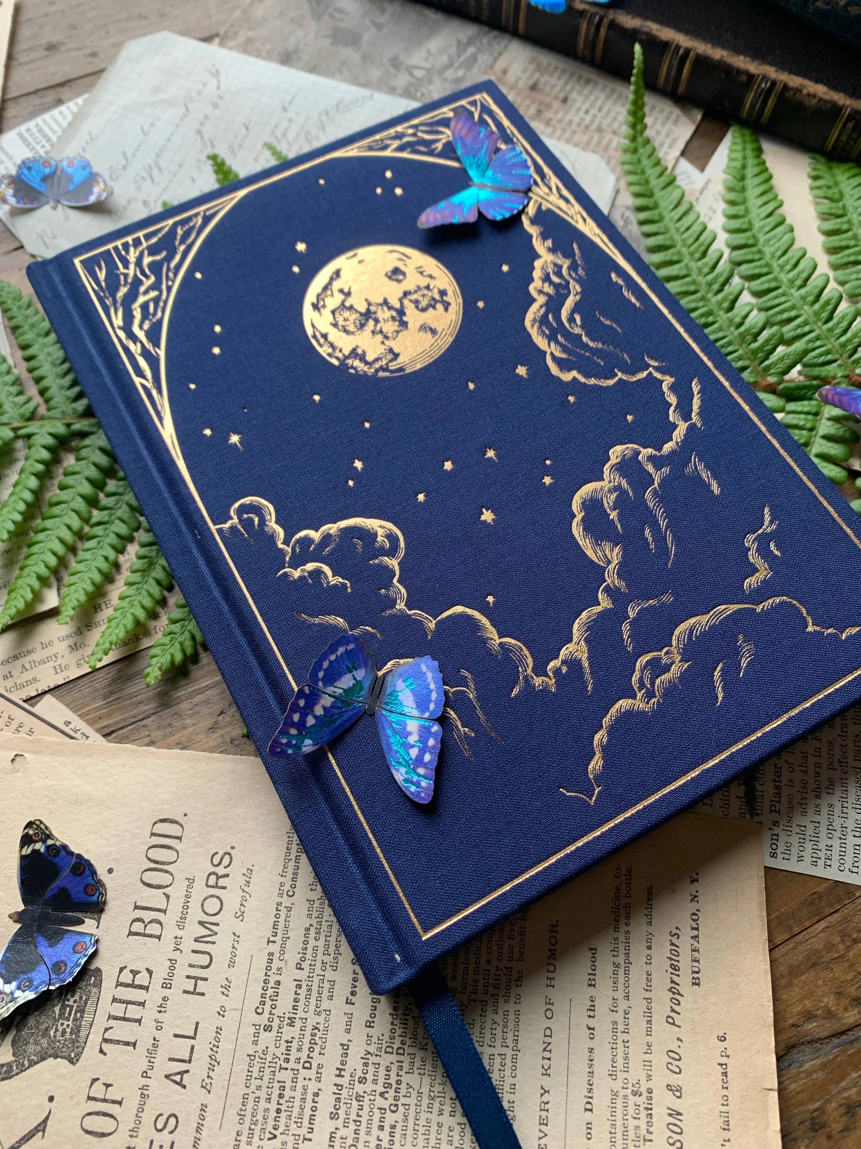 B6 Blank Notebook | The Astronomer [Gold]