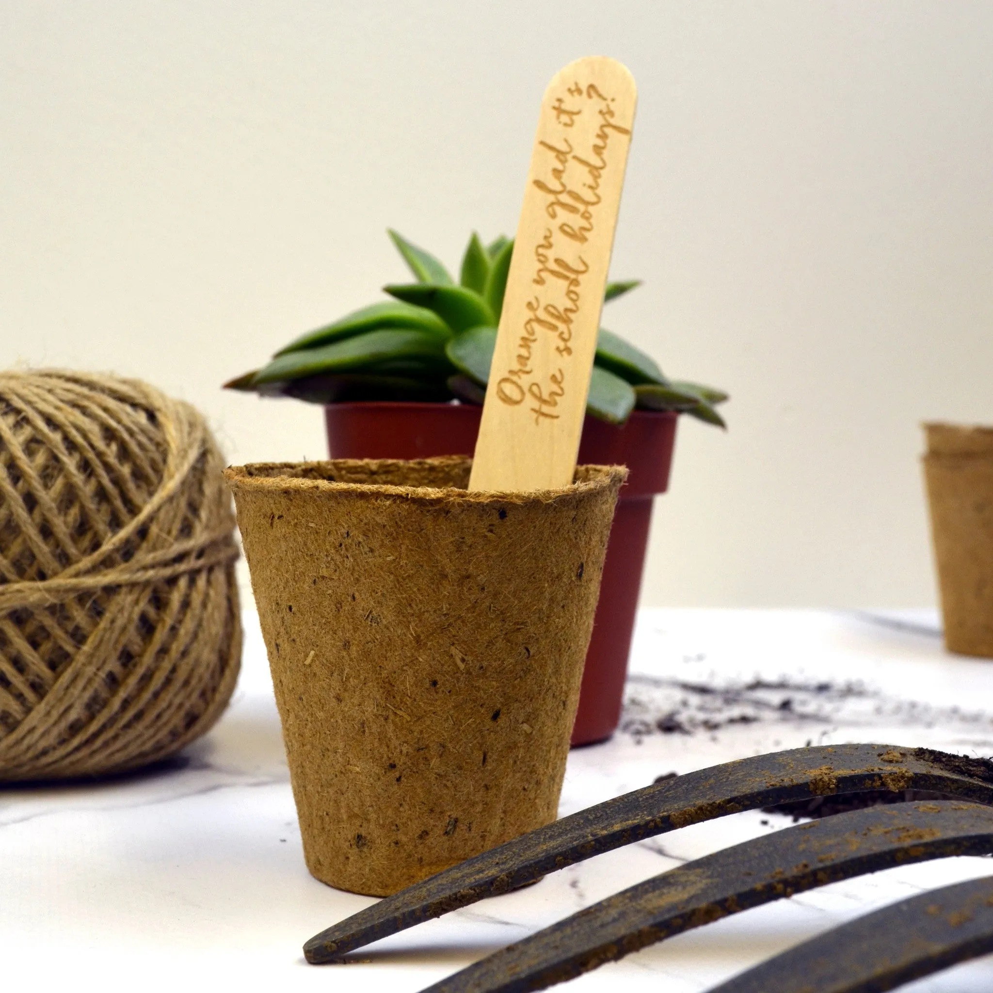 Best Teacher Plant Marker Gift Set
