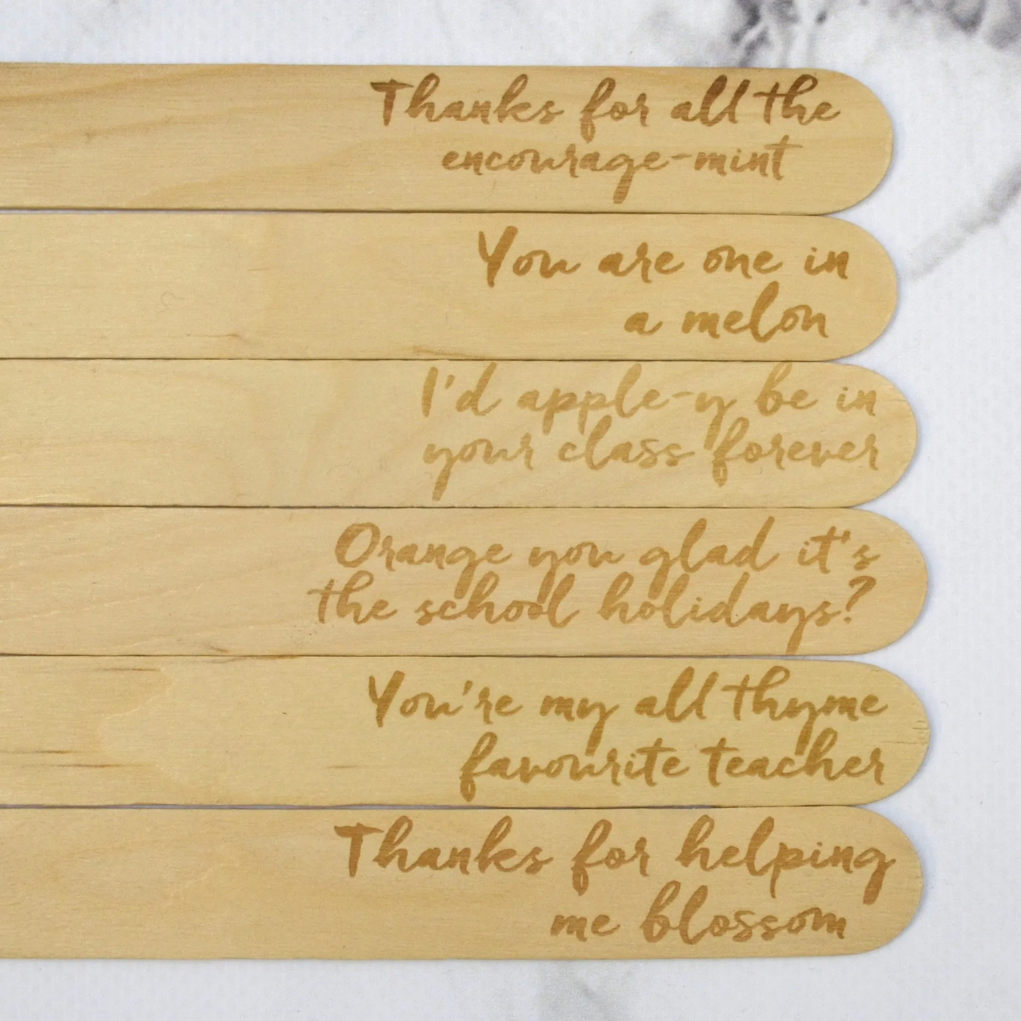 Best Teacher Plant Marker Gift Set