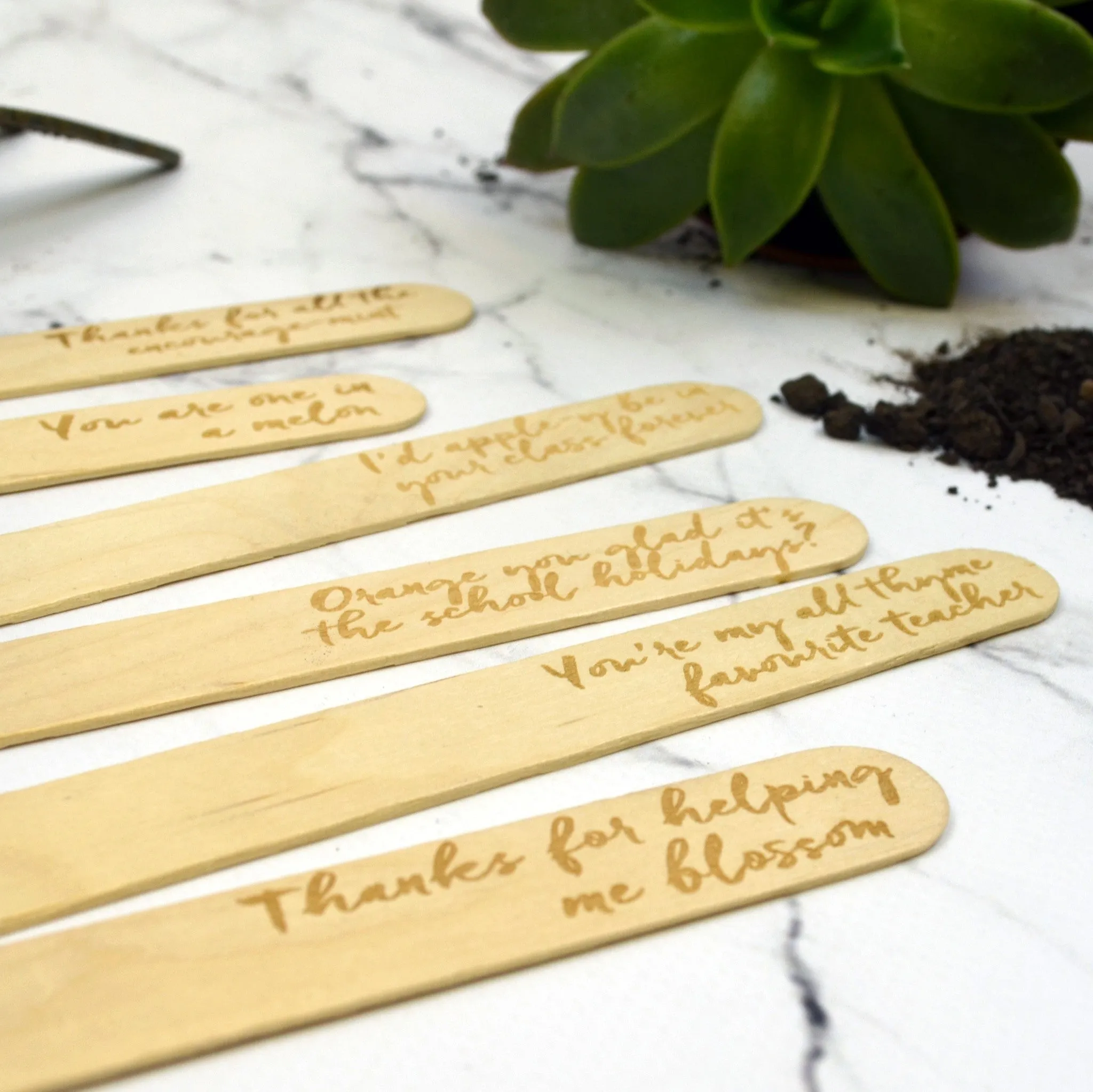 Best Teacher Plant Marker Gift Set