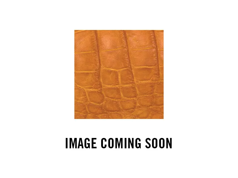 BT Belt