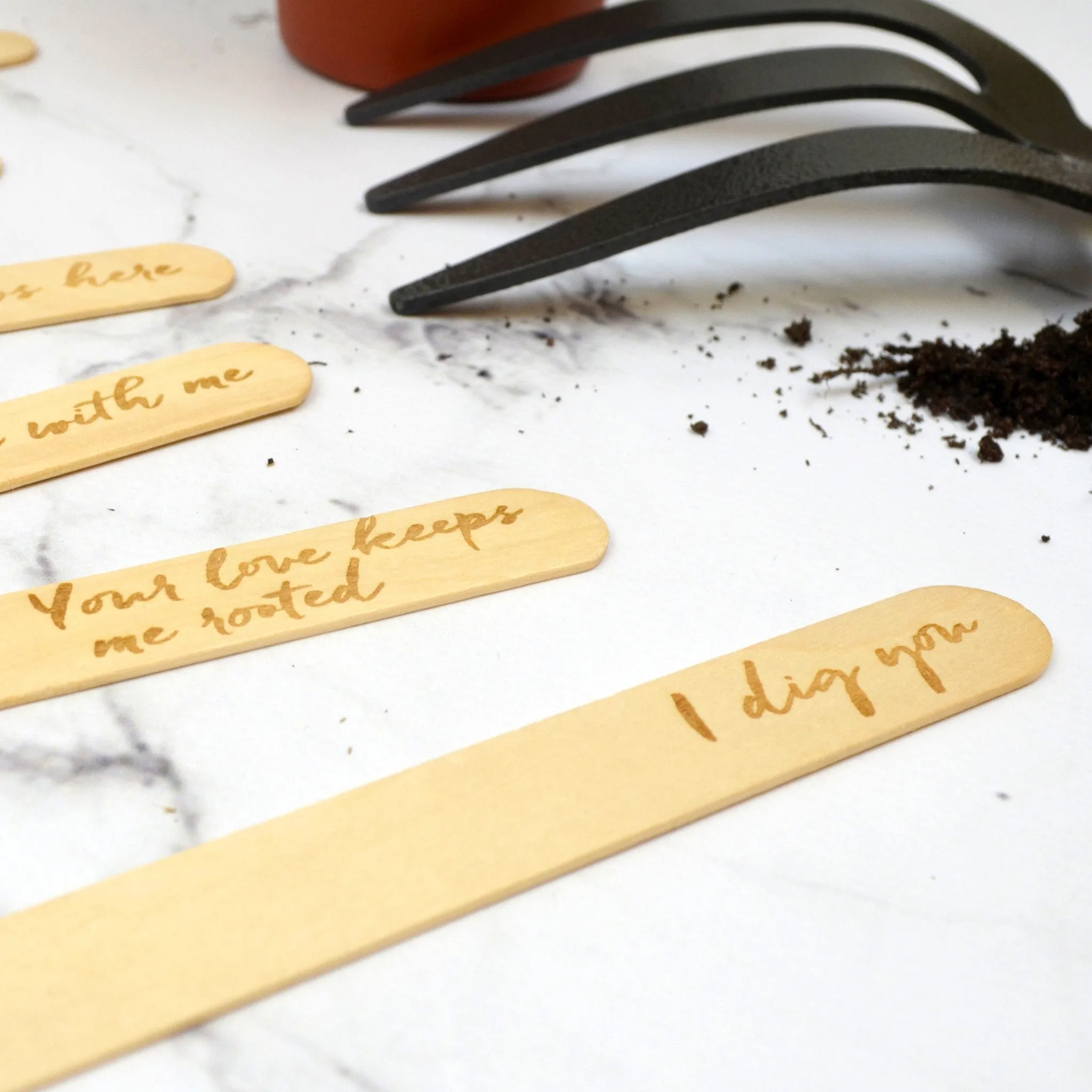 Love Puns Personalised Plant Marker Set