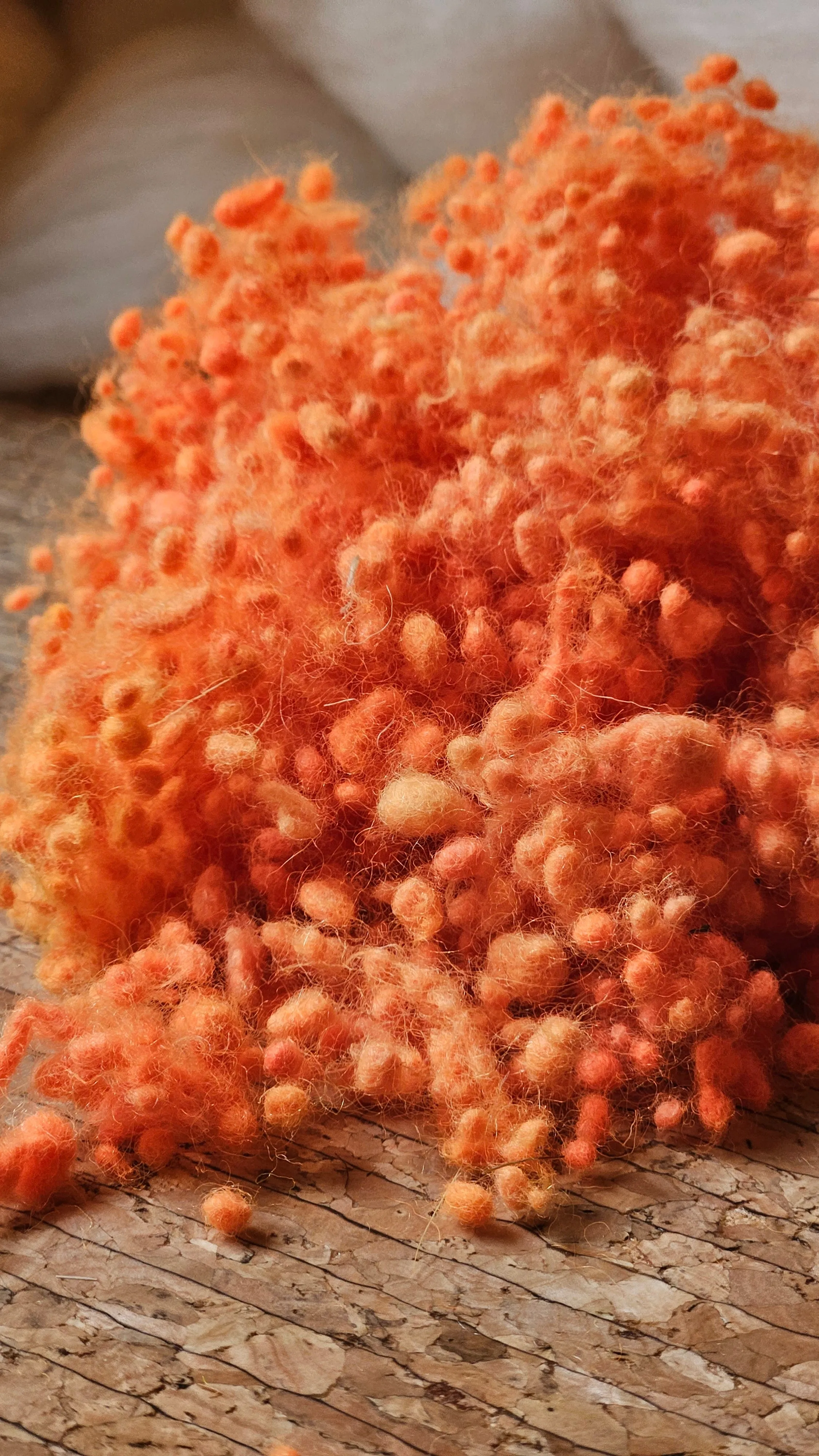ORANGE GLOW Dyed Fine Wool Nepps - 1 ounce