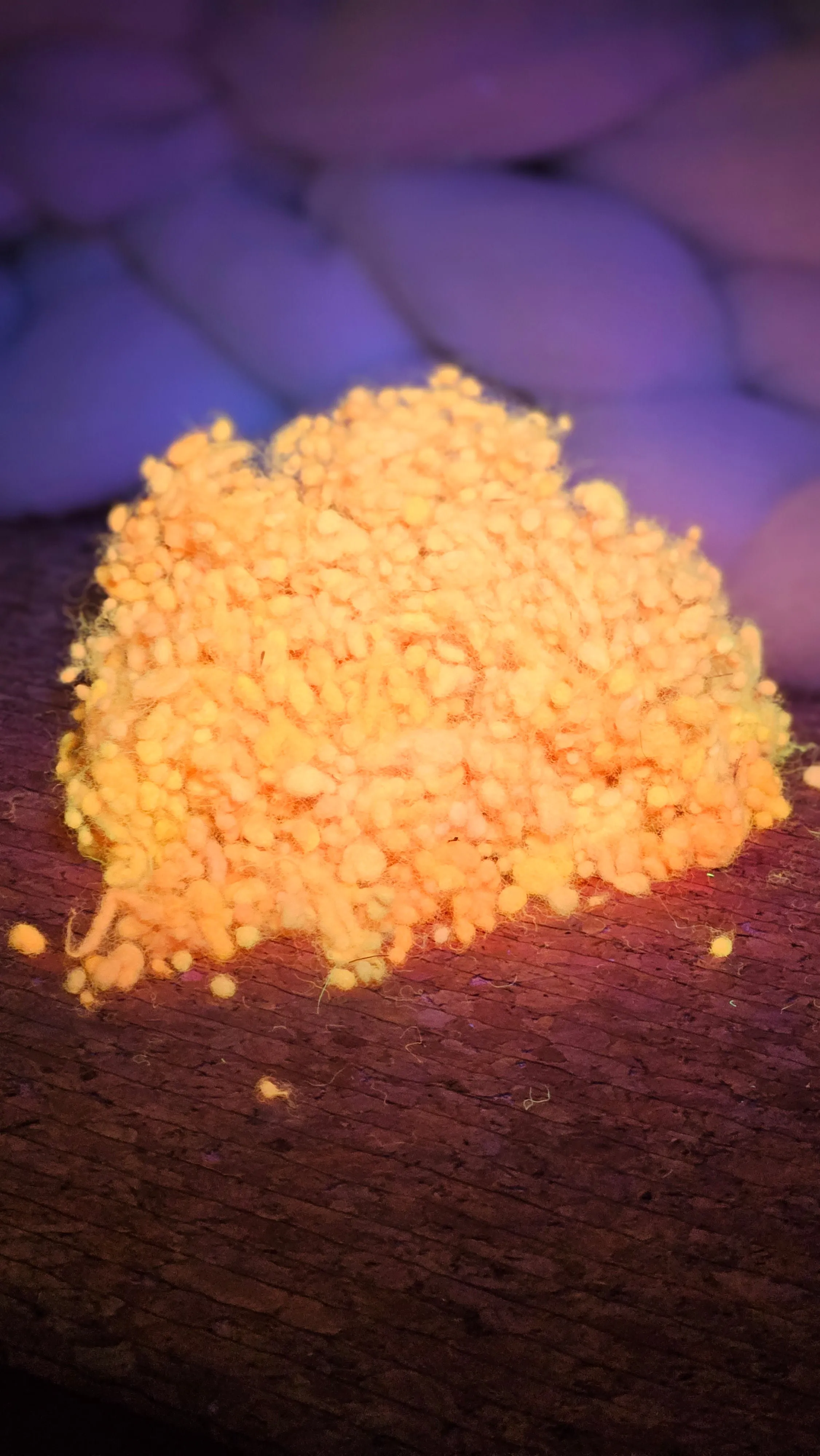 ORANGE GLOW Dyed Fine Wool Nepps - 1 ounce