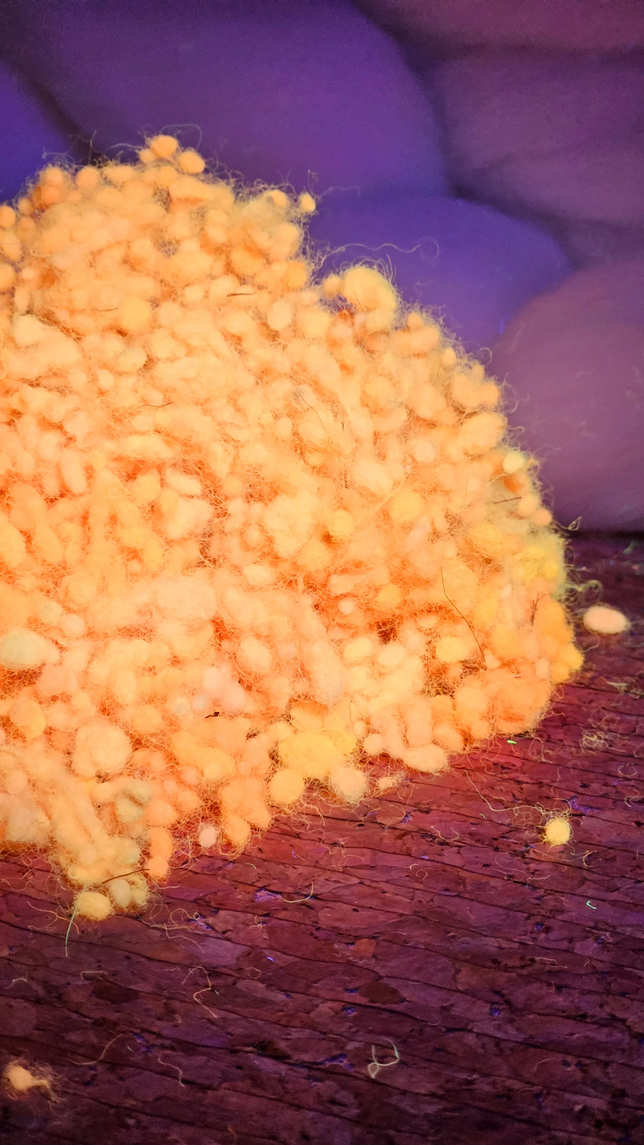 ORANGE GLOW Dyed Fine Wool Nepps - 1 ounce