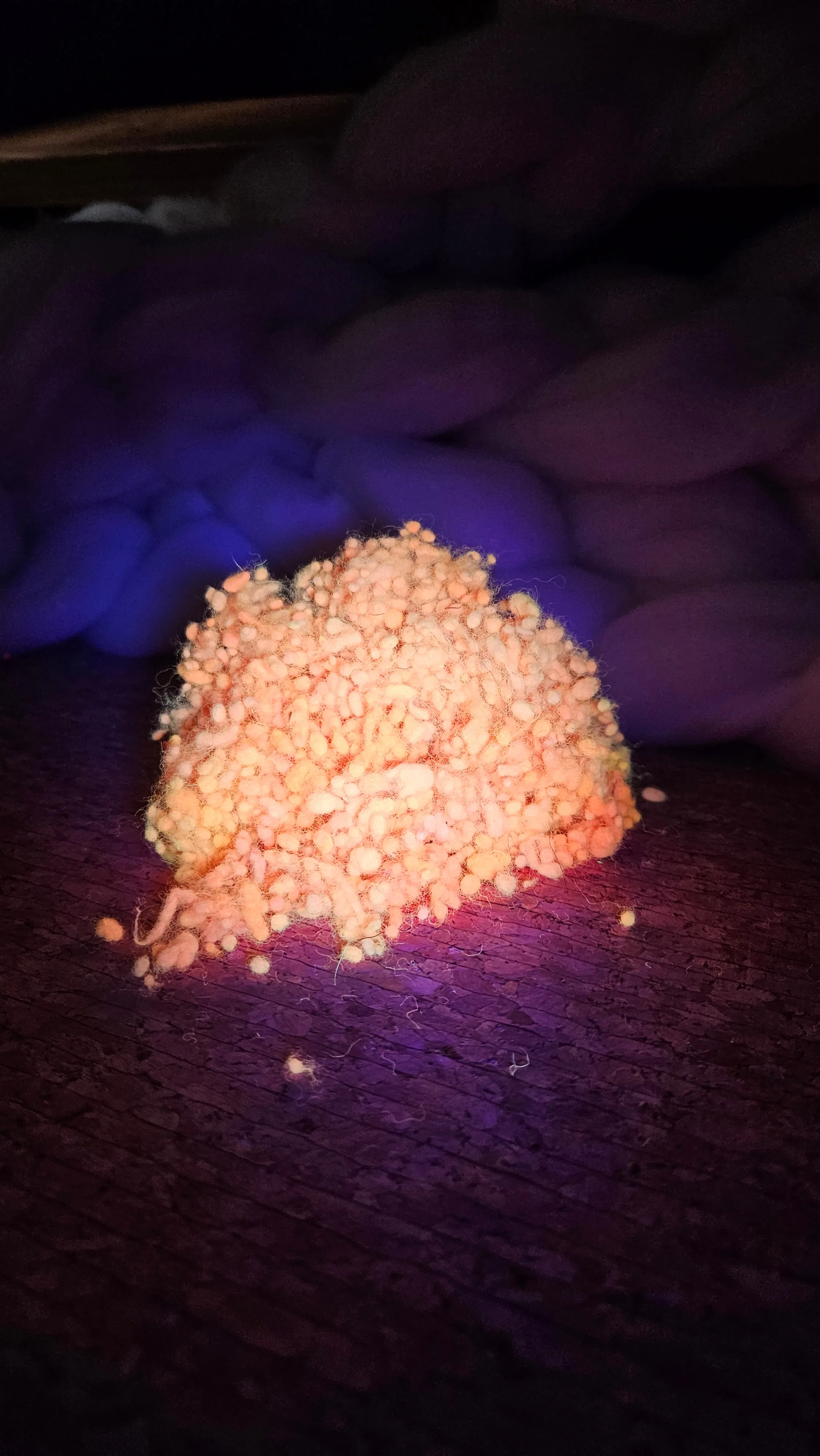 ORANGE GLOW Dyed Fine Wool Nepps - 1 ounce
