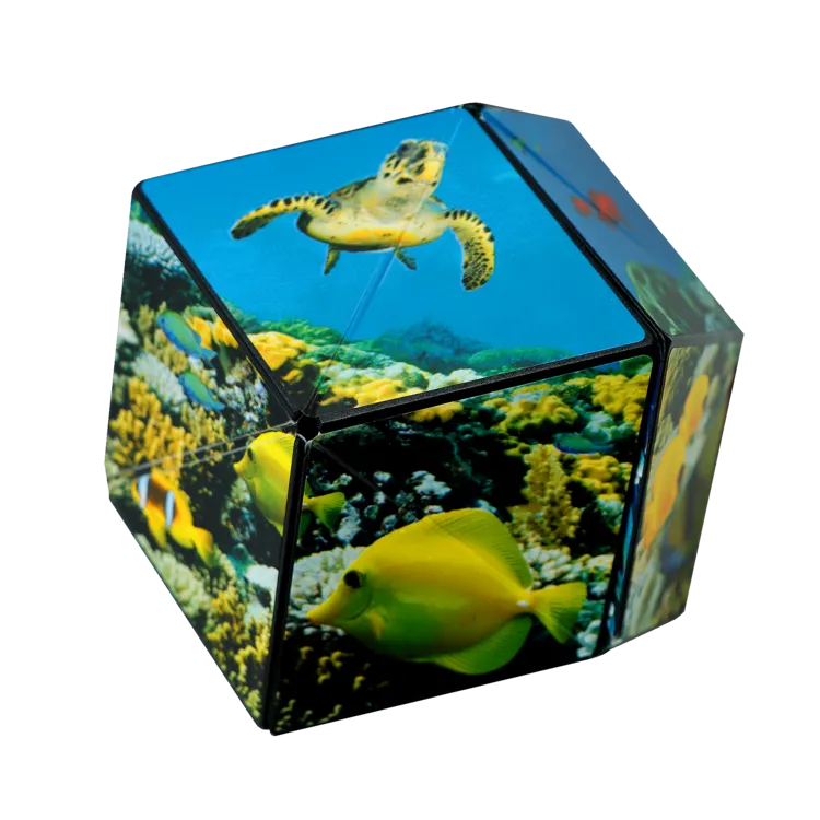 Shashibo Undersea