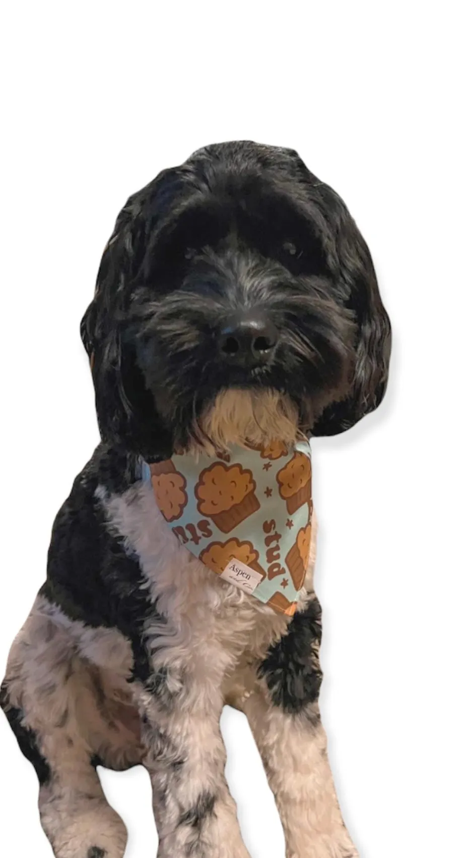 Stud Muffin Dog Bandana