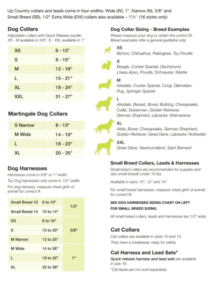 UpCountry - Alligator Dog Collar